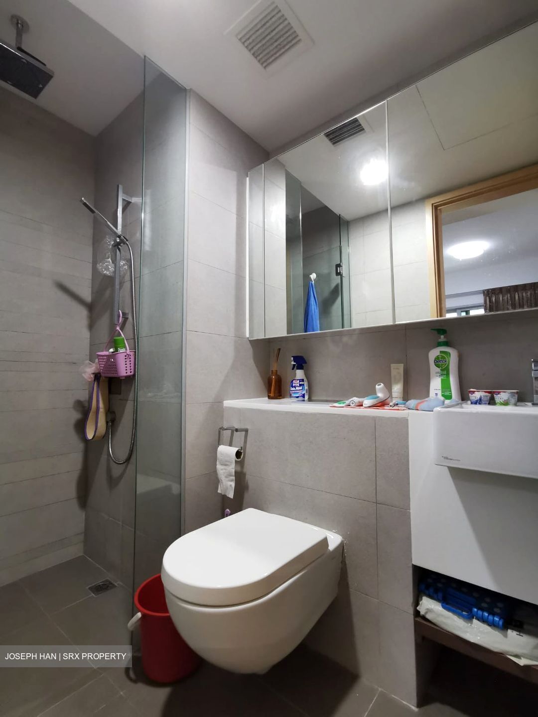 Eight Riversuites (D12), Condominium #621719101
